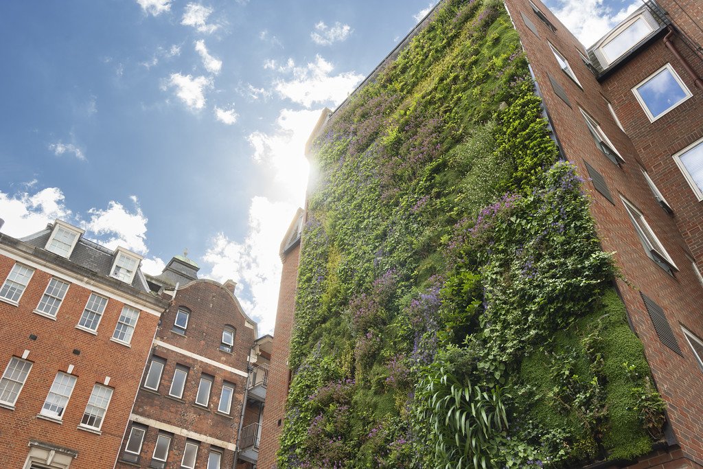 Orchard Lisle Living Wall