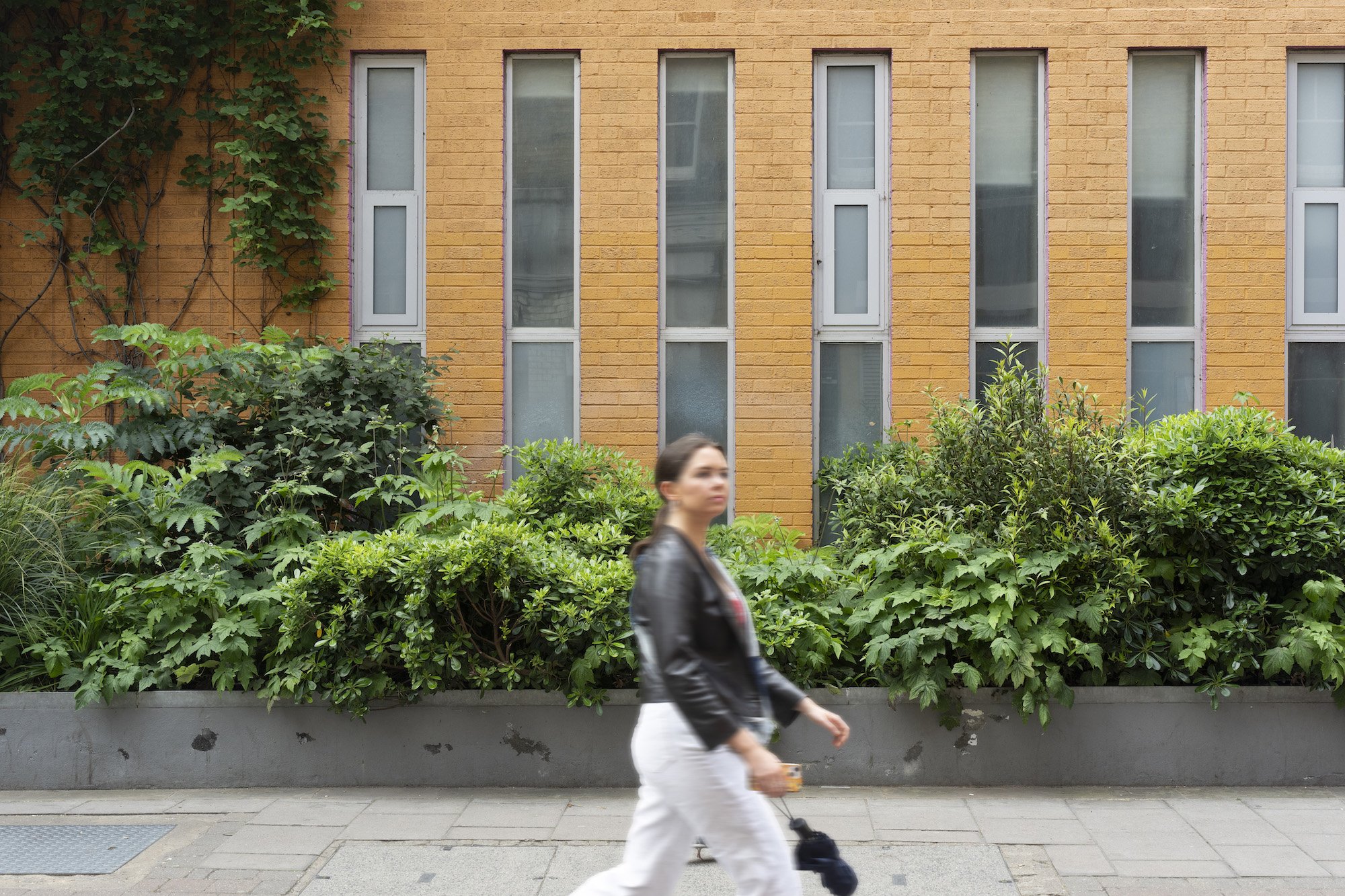 World Mental Health Day: Supporting Wellbeing in London Bridge