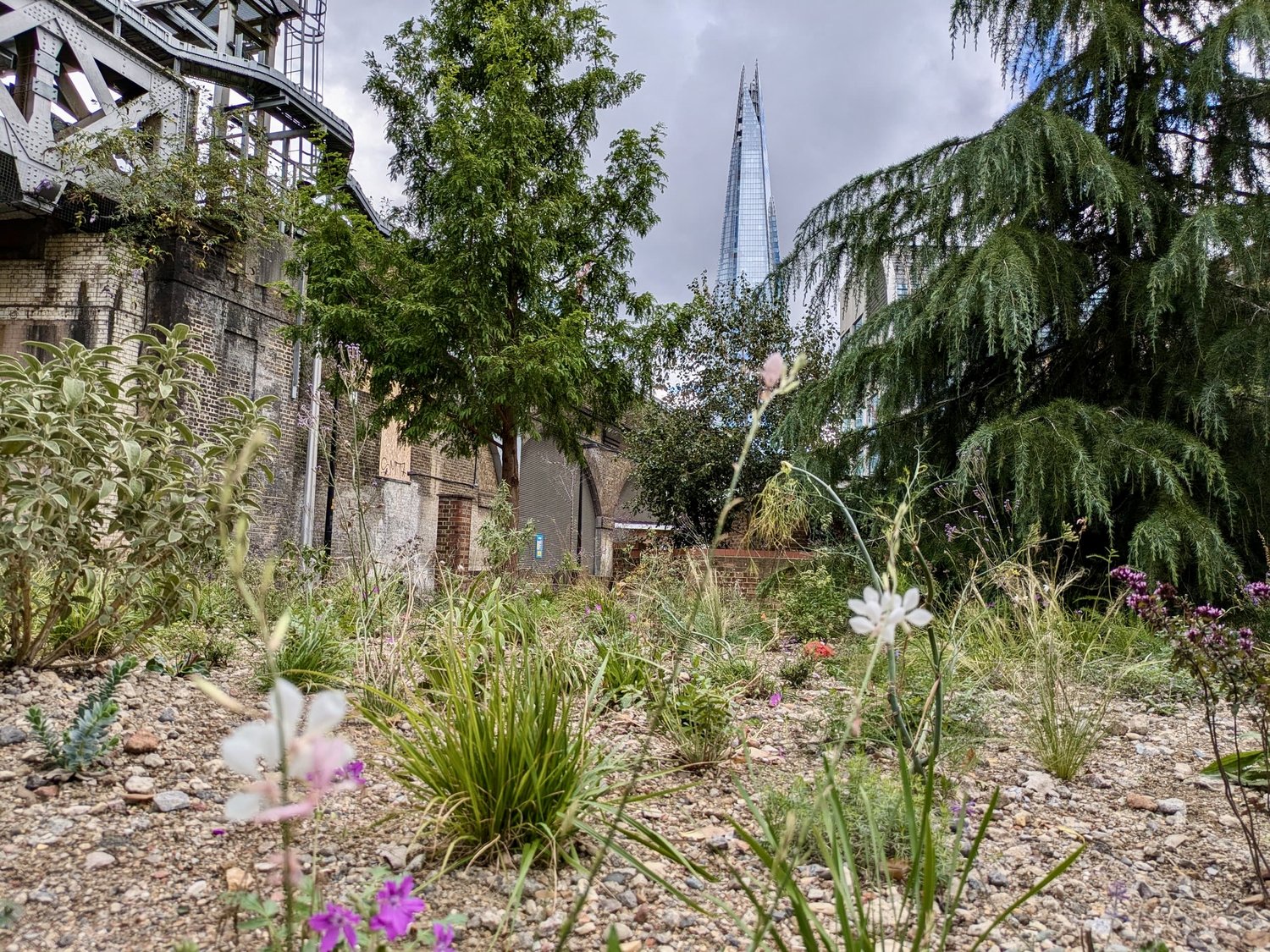 Transforming Druid Street: RHS Chelsea Flower Show Garden Takes Root in London Bridge