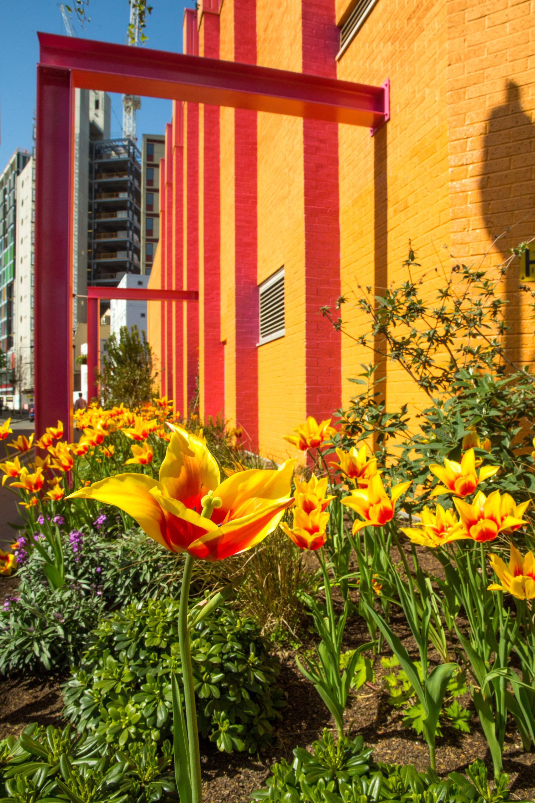 Greenwood Theatre Pocket Park